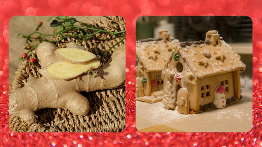Ginger and Gingerbread Houses - eat2explore
