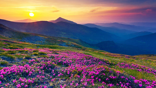 Sneak Peek - Explore Ukraine in a Week! - eat2explore