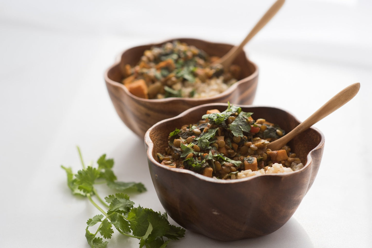 VEGETARIAN recipes - explore a country-C-1-BZ-eat2explore