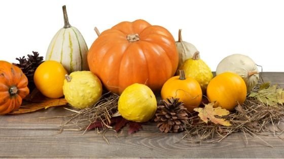 Hooray For Winter Squash! - eat2explore