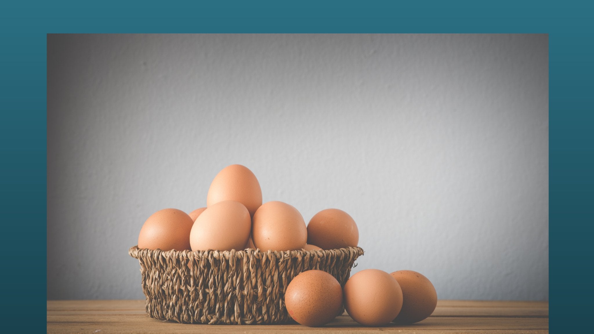National Egg Day - Time to Celebrate Eggs! - eat2explore