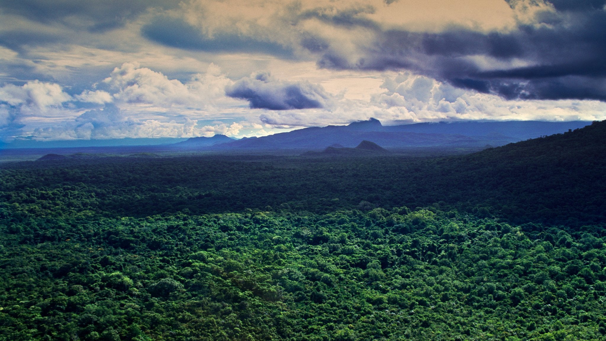 Rainforests and Rivers - The Heart of Brazil - eat2explore