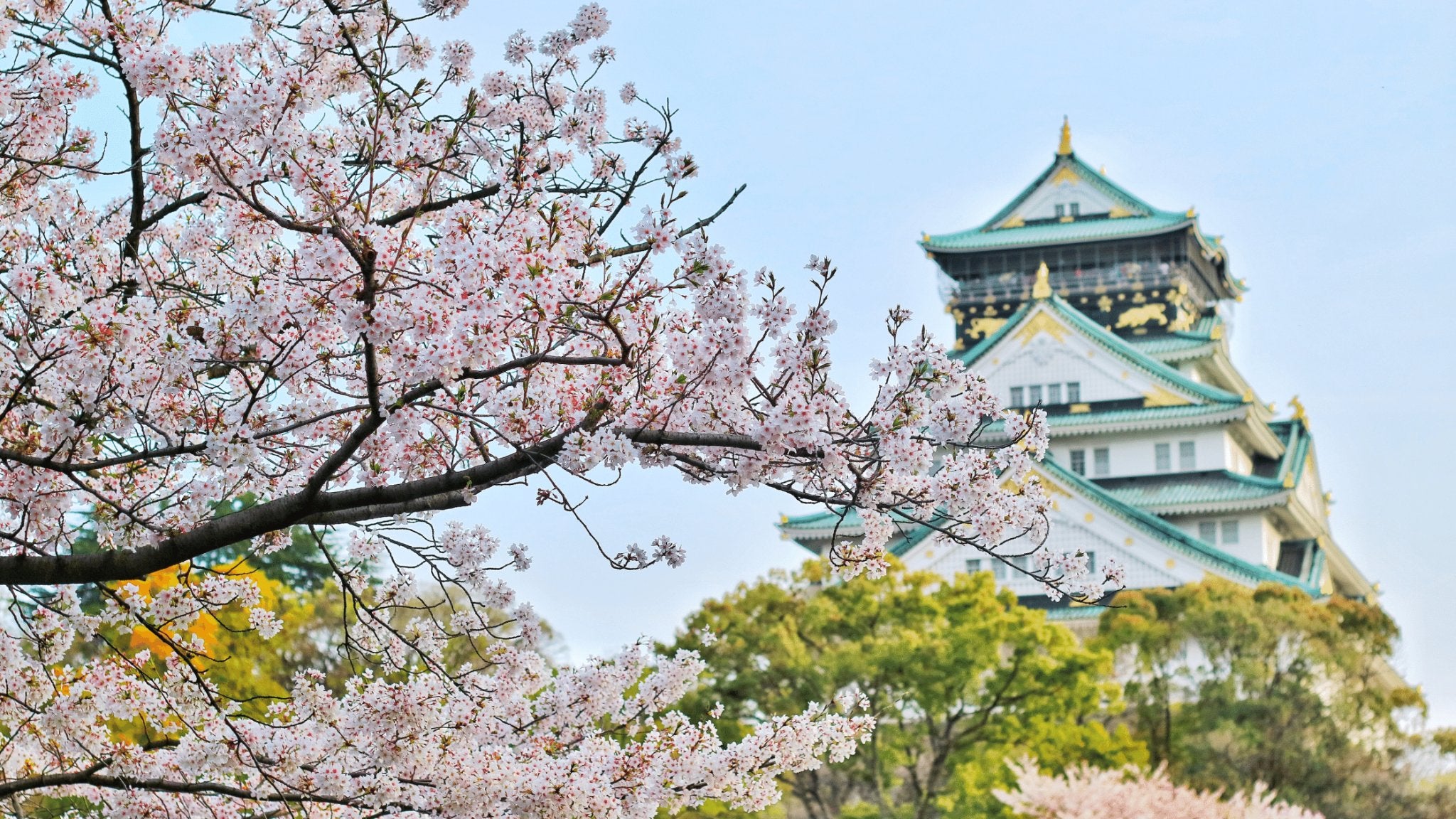 Sneak Peek - Explore Japan Lesson Plan! - eat2explore