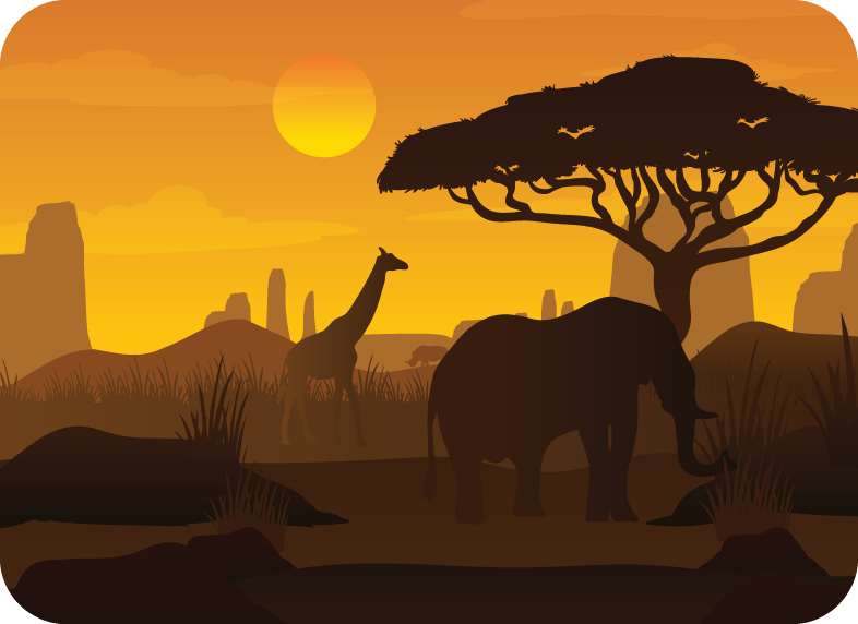 What’s Inside Kenya Family Box?