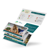 3 Authentic Step-by-Step Recipes