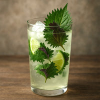 e2e Shiso Mojito