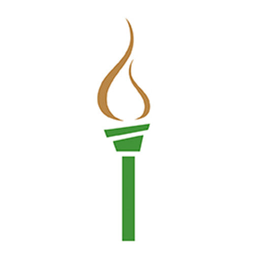 torch icon with green handle and gold flame