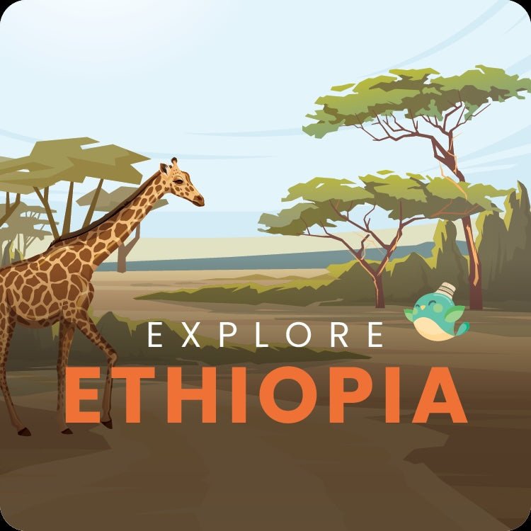 explore ETHIOPIA - C - 1A - ET - eat2explore